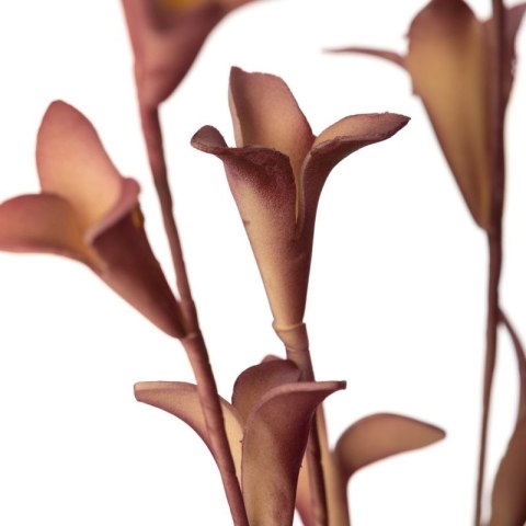 KW/FLORE/652/R+Ż 93X20 RÓŻ+ŻÓŁ