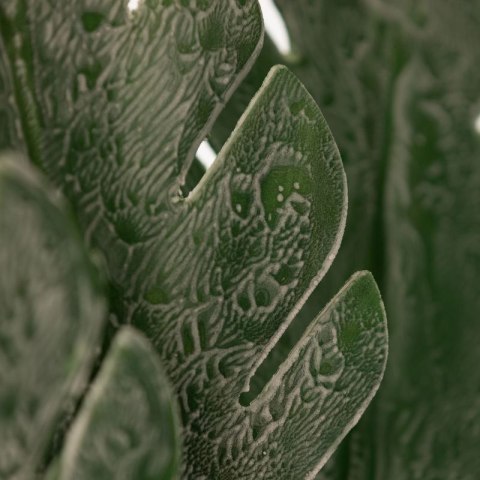 KWIAT LIŚĆ 41 DŁ.56 CM DŁ. LIŚĆ 22 CM CIEMNOZIELONY