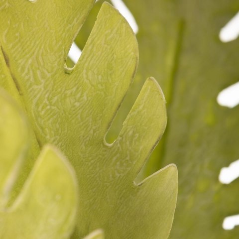 KWIAT LIŚĆ 41 DŁ.56 CM DŁ. LIŚĆ 22 CM JASNOZIELONY