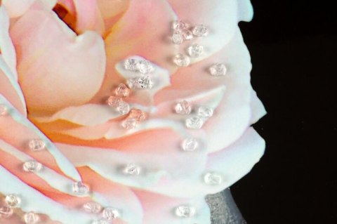 OBRAZ 544B 60X80 CM CZARNY