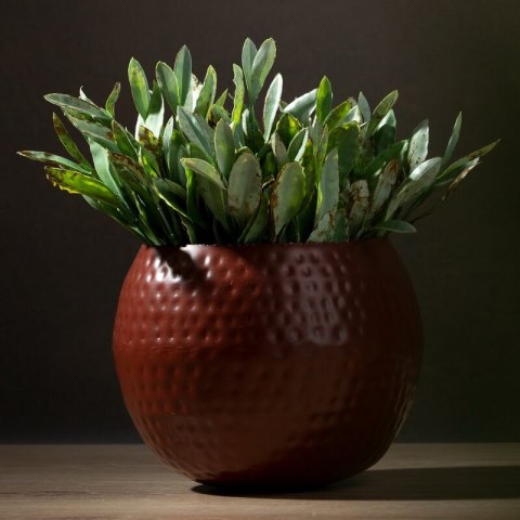 WY/DONICA/172 MIEDŹ 20X20X20