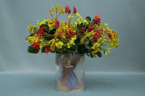 KW/NATU/221/ZI+N ZIEL+NIEB