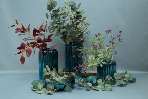 KW/NATU/248/ZIEL ZIEL