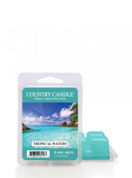 Country Candle - Tropical Waters - Wosk zapachowy "potpourri" (64g)