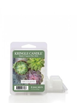 Kringle Candle - Succulents - Wosk zapachowy "potpourri" (64g)