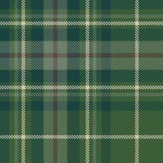 KRATA JAMILA Tkanina dekoracyjna NINA WODOODPORNA, 160cm, kolor 002 zielony DBN348/NIW/002/160000/1