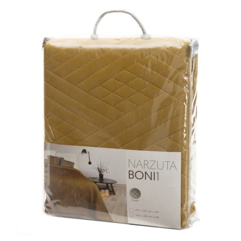 SI/N/BONI/1/MUSZ 200X220 MUSZ