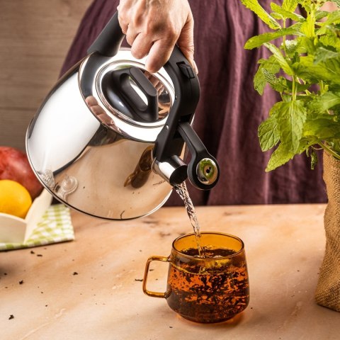 CZAJNIK STALOWY Z GWIZDKIEM 2,5L KLAUSBERG KB-7914