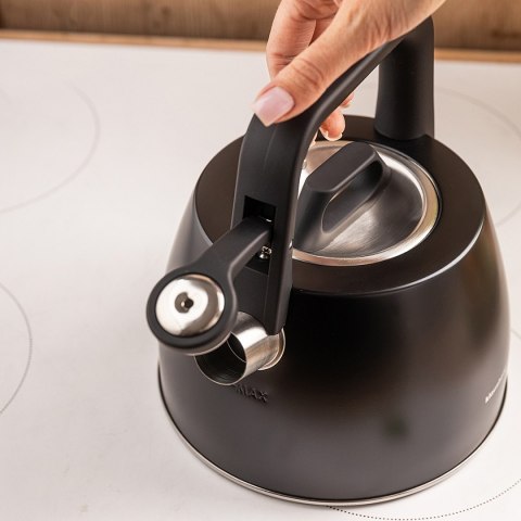 CZAJNIK STALOWY Z GWIZDKIEM 2,5L KLAUSBERG KB-7915