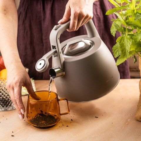 CZAJNIK STALOWY Z GWIZDKIEM 2,5L KLAUSBERG KB-7916