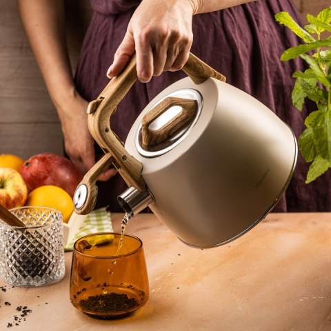 CZAJNIK STALOWY Z GWIZDKIEM 2,5L KLAUSBERG KB-7917