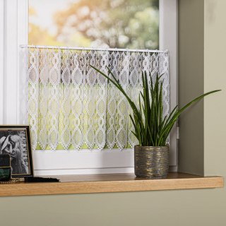 Zazdrostka gipiurowa, wysokość 40cm, kolor 001 biały 016472/447/001/000040/1