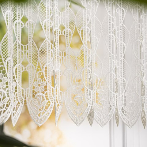 Zazdrostka gipiurowa, wysokość 80cm, kolor 010 naturalny 016451/447/010/000080/1