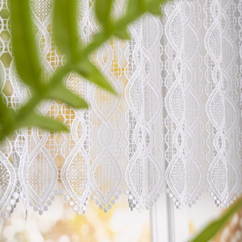 Zazdrostka gipiurowa, wysokość 90cm, kolor 001 biały 016472/447/001/000090/1