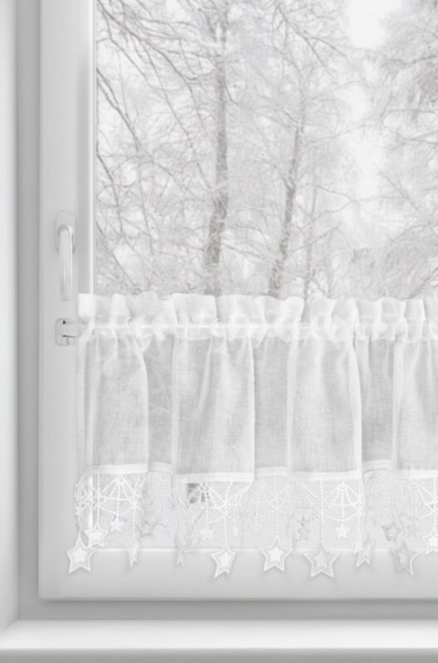 SW/XMAS/FIR/2/B 30X150 TUNEL