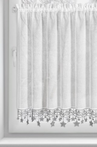 SW/XMAS/FIR/2/SR 90X150 TUNEL