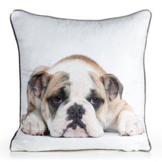 POSZEWKA ANIMAL 81 45 X 45 CM BIAŁY