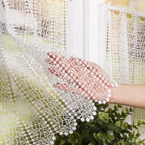 Zazdrostka gipiurowa, wysokość 40cm, kolor 001 biały 016372/447/001/000040/1