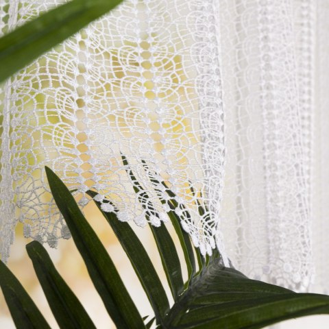 Zazdrostka gipiurowa, wysokość 80cm, kolor 001 biały 016372/447/001/000080/1