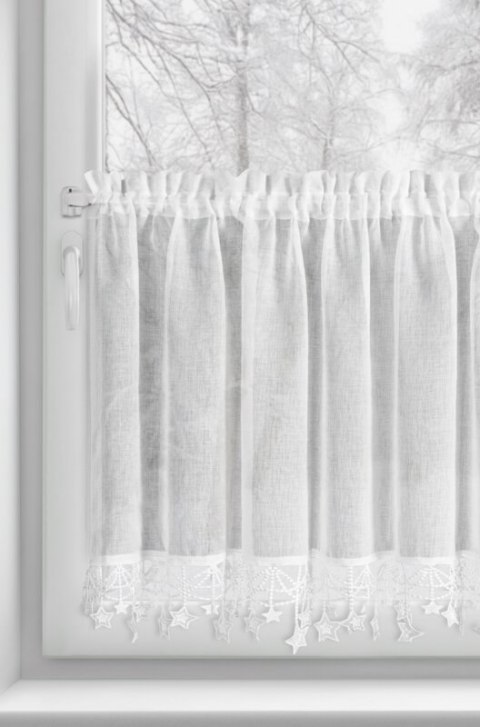 SW/XMAS/FIR/2/B 60X150 TUNEL