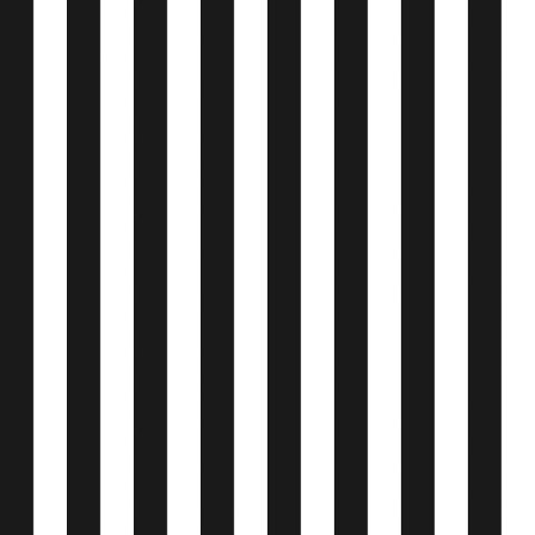 PASKI KLASYCZNY GRIL Tkanina dekoracyjna NINA WODOODPORNA, 160cm, kolor 006 czarny D00423/NIW/006/160000/1