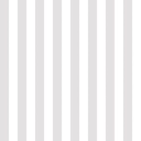 PASKI OWOCOWY GRIL Tkanina dekoracyjna NINA WODOODPORNA, 160cm, kolor 005 szaro beżowy D00426/NIW/005/160000/1