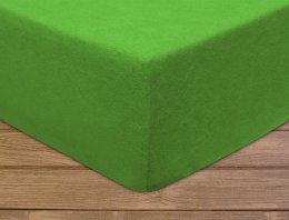 Prześcieradło frotte z gumką 220x200 cm kolor kaktus