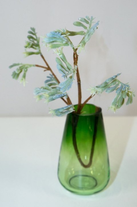 KW/NATU/221/ZI+N ZIEL+NIEB